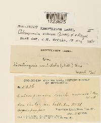 Image Associated With the Occurrence