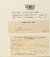 Image Associated With the Occurrence