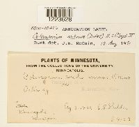 Image Associated With the Occurrence