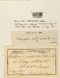 Image Associated With the Occurrence