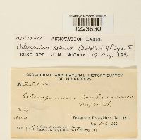 Image Associated With the Occurrence