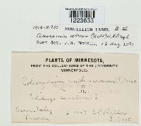 Image Associated With the Occurrence