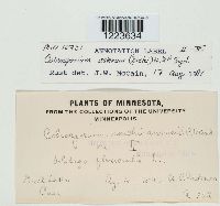 Image Associated With the Occurrence