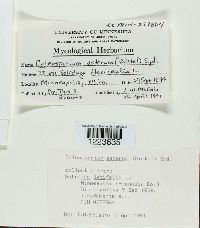 Image Associated With the Occurrence