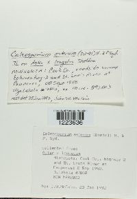 Image Associated With the Occurrence