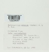 Image Associated With the Occurrence