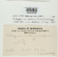 Image Associated With the Occurrence