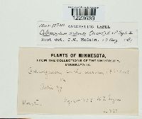 Image Associated With the Occurrence