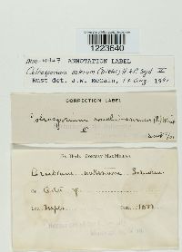 Image Associated With the Occurrence