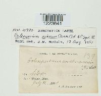 Image Associated With the Occurrence