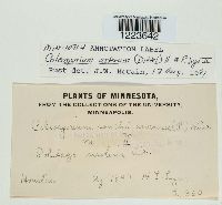 Image Associated With the Occurrence