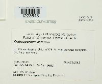 Image Associated With the Occurrence