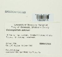 Image Associated With the Occurrence