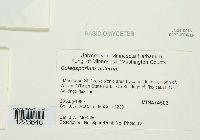 Image Associated With the Occurrence