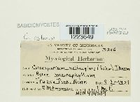 Image Associated With the Occurrence