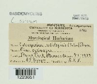 Image Associated With the Occurrence