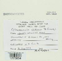 Image Associated With the Occurrence