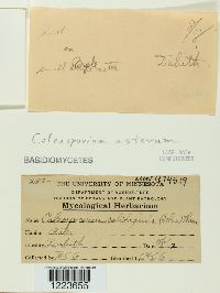 Image Associated With the Occurrence