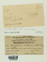 Image Associated With the Occurrence