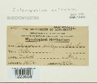 Image Associated With the Occurrence