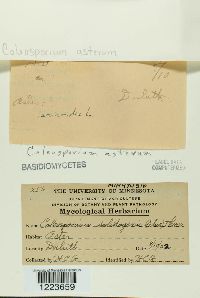 Image Associated With the Occurrence