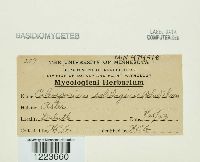 Image Associated With the Occurrence