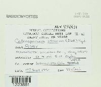 Image Associated With the Occurrence