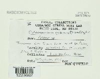 Image Associated With the Occurrence