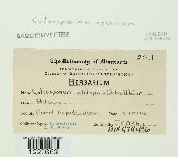 Image Associated With the Occurrence