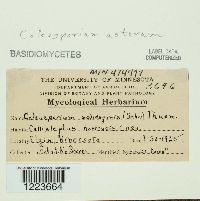 Image Associated With the Occurrence