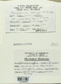 Image Associated With the Occurrence