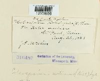 Image Associated With the Occurrence