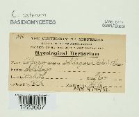 Image Associated With the Occurrence