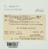 Image Associated With the Occurrence