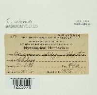 Image Associated With the Occurrence