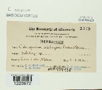 Image Associated With the Occurrence