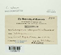 Image Associated With the Occurrence