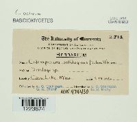 Image Associated With the Occurrence