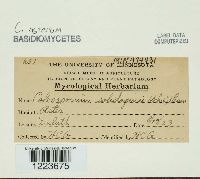 Image Associated With the Occurrence