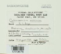 Image Associated With the Occurrence