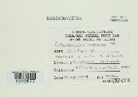 Image Associated With the Occurrence