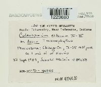 Image Associated With the Occurrence