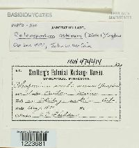 Image Associated With the Occurrence