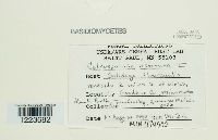 Image Associated With the Occurrence