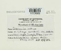 Image Associated With the Occurrence