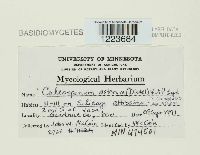 Image Associated With the Occurrence