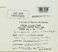 Image Associated With the Occurrence