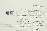 Image Associated With the Occurrence