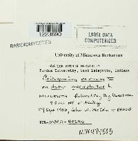 Image Associated With the Occurrence