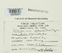 Image Associated With the Occurrence